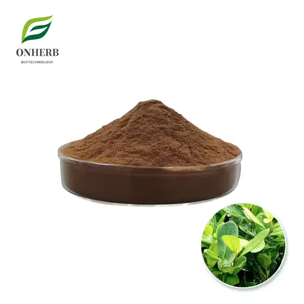 Yerba Mate Extract Powder